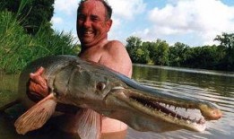 鳄雀鳝最新爆料视频大全,惊悚瞬间直击水下世界